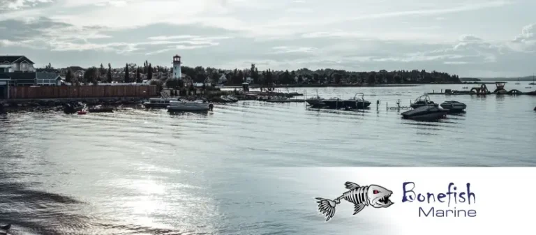 bonefish marine marina 768x337