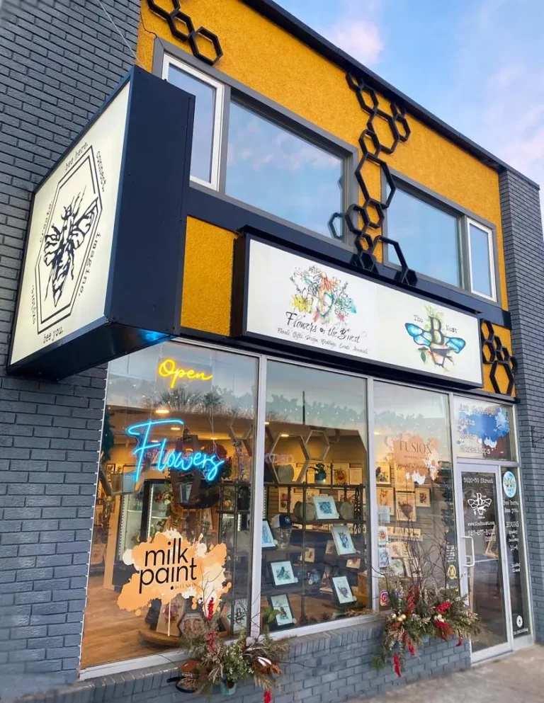 bs nest store images 2025 768x993