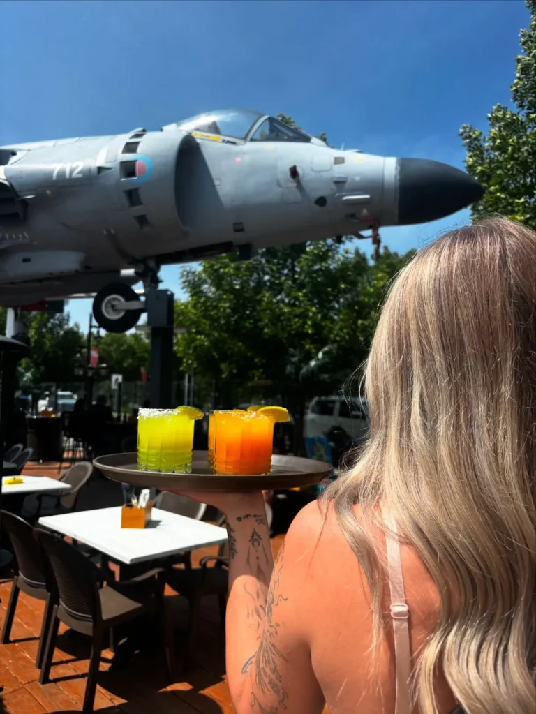 driftwood jet 768x1023