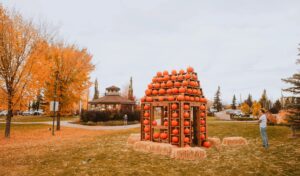 fall pumpkin house in sylvan lake